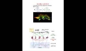 70회, 정하웅 KAIST 교수 (2012. 1. 5)